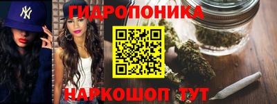 спиды Лесосибирск